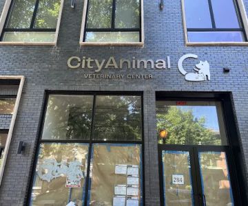 City Animal Veterinary Center