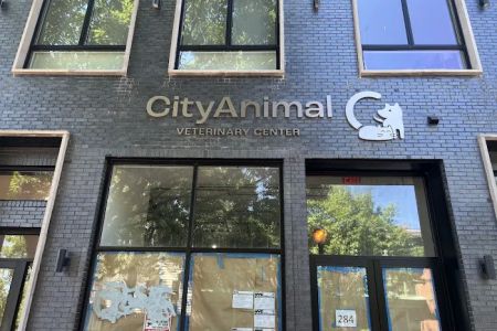 City Animal Veterinary Center