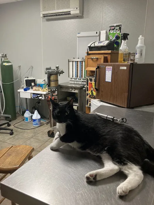 Call Ahead Veterinary 3