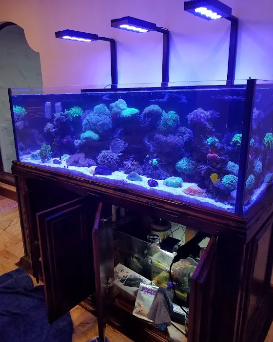 Tank Smart Aquariums 12