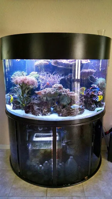 Tank Smart Aquariums 12