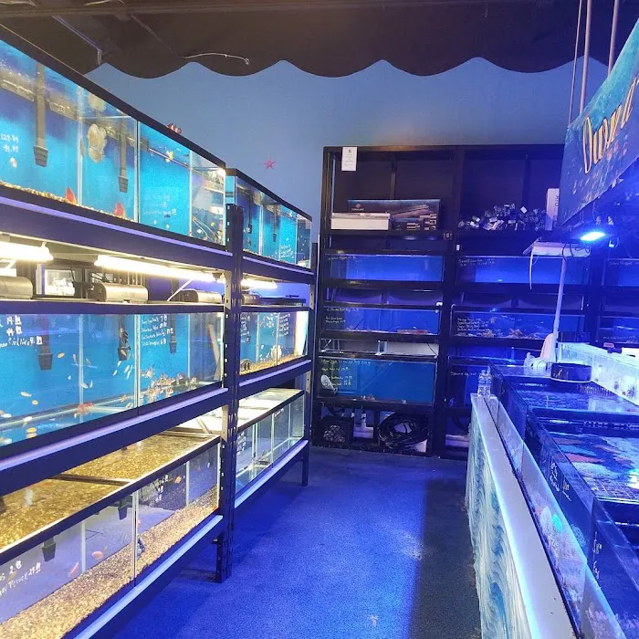 Tank Smart Aquariums 12