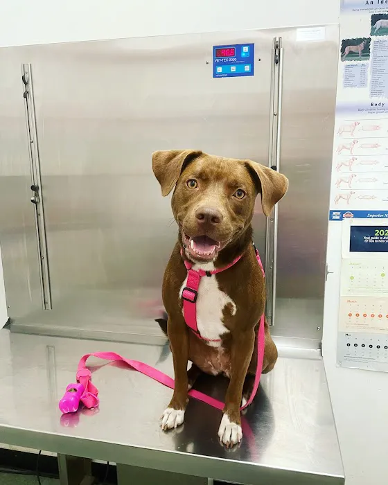 Windsor Terrace Veterinarians 1