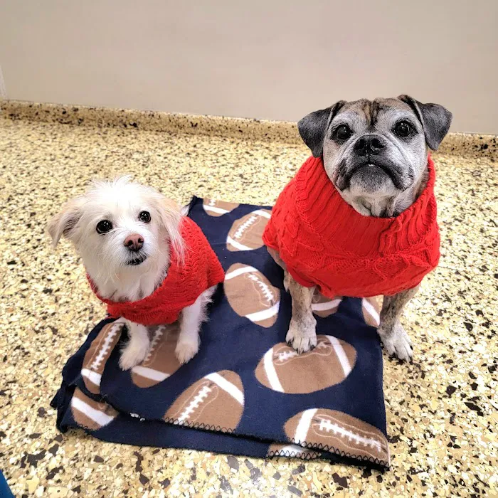 Park Slope Veterinary Center 4