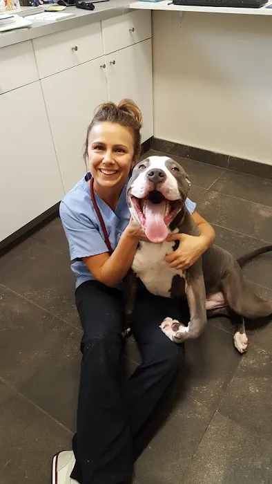 Park Slope Veterinary Center 2