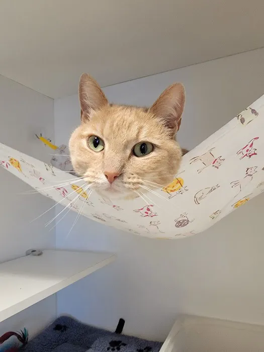Park Slope Veterinary Center 6
