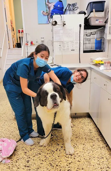Park Slope Veterinary Center 8