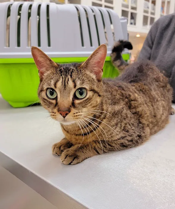 Park Slope Veterinary Center 5