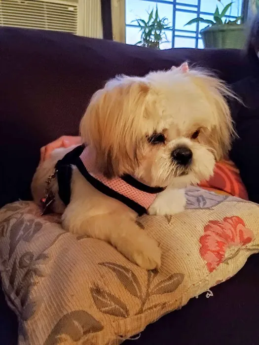 Park Slope Veterinary Center 7