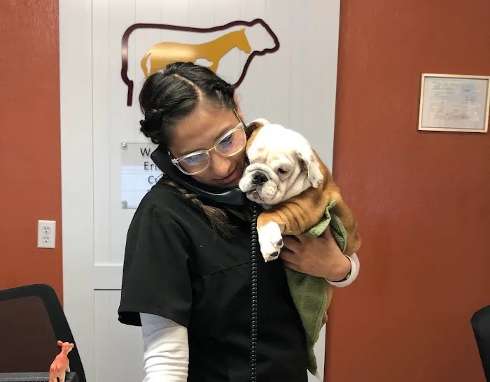 Animal Clinic, LLC 1
