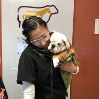 Animal Clinic, LLC ico