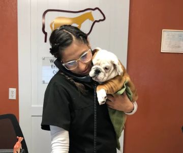 Animal Clinic, LLC