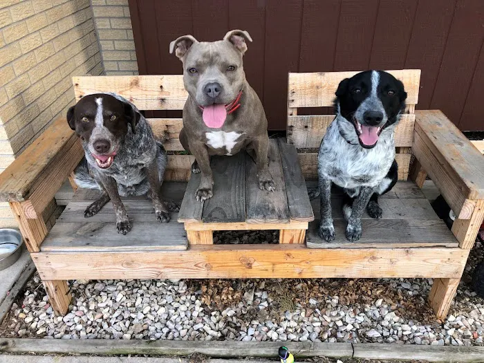Animal Clinic, LLC 5