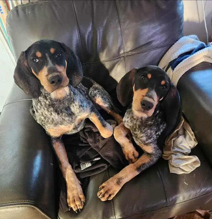 Animal Clinic, LLC 8