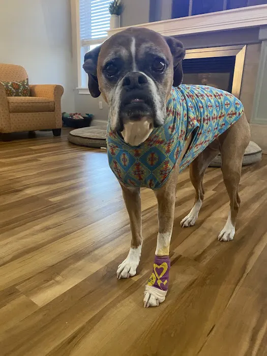 Animal Clinic, LLC 9