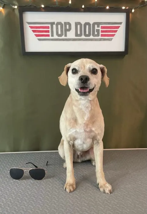 Pet Menders Animal Hospital - Frederick 6
