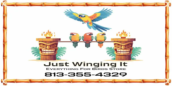 Just winging it zhills 6