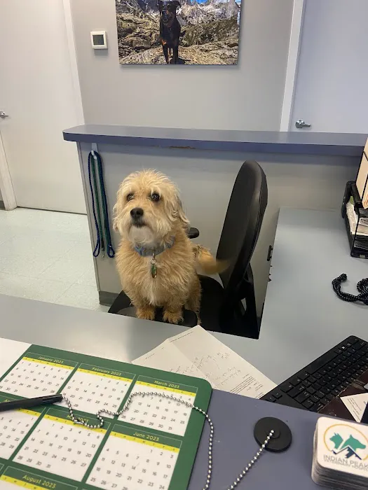 Indian Peaks Veterinary Hospital 12