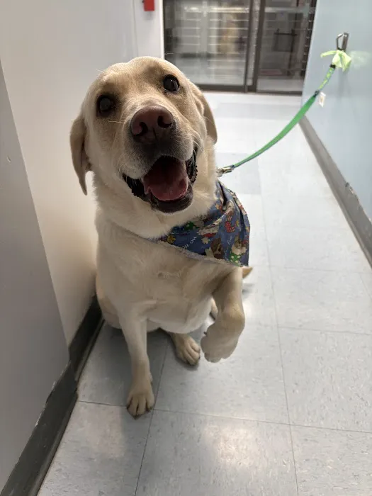 Indian Peaks Veterinary Hospital 12