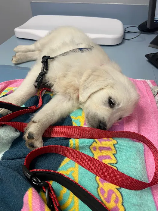 Indian Peaks Veterinary Hospital 12
