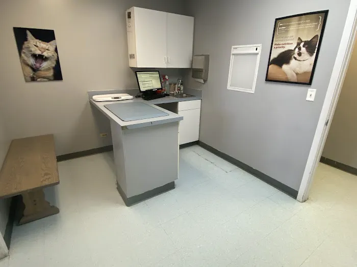 Indian Peaks Veterinary Hospital 12