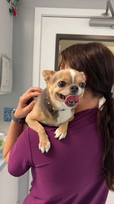 Indian Peaks Veterinary Hospital 12