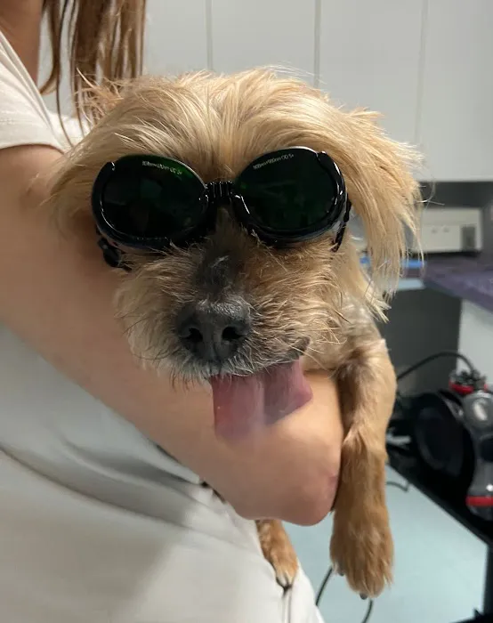 Indian Peaks Veterinary Hospital 12