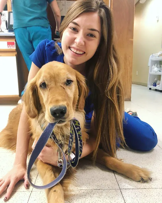 North Boulder Companion Animal Hospital 8