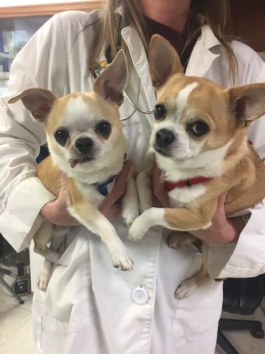 North Boulder Companion Animal Hospital 9