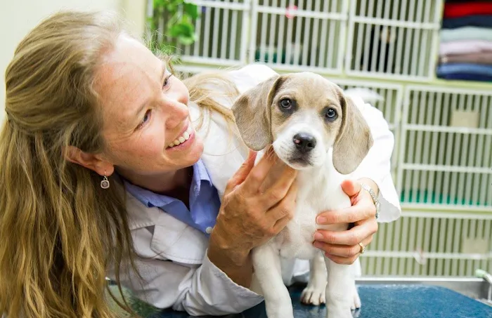 North Boulder Companion Animal Hospital 10