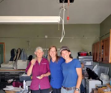 Sunrise Veterinary Services