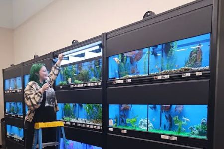 Pet Supermarket