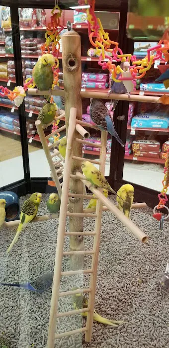 Petco 12