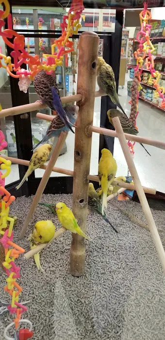 Petco 12