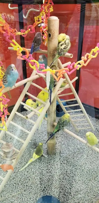Petco 12