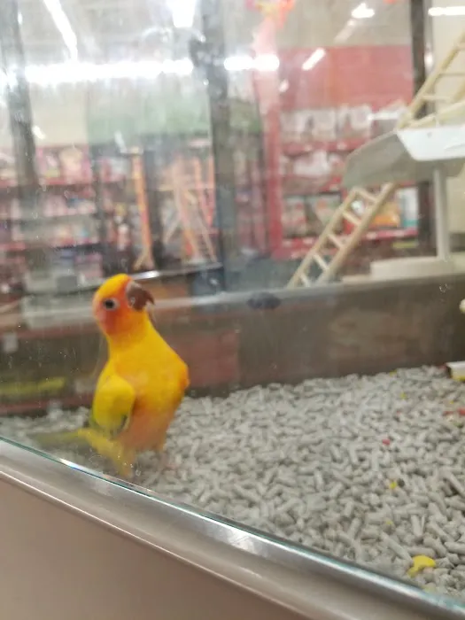 Petco 12