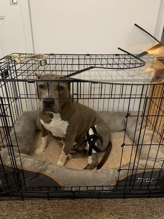 Petco 12