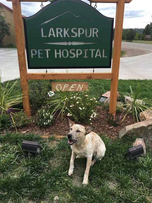 Larkspur Pet Hospital 8
