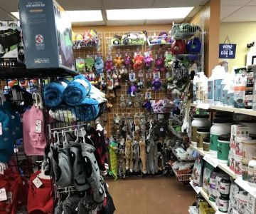 Earth Pets Natural Pet Market Gainesville