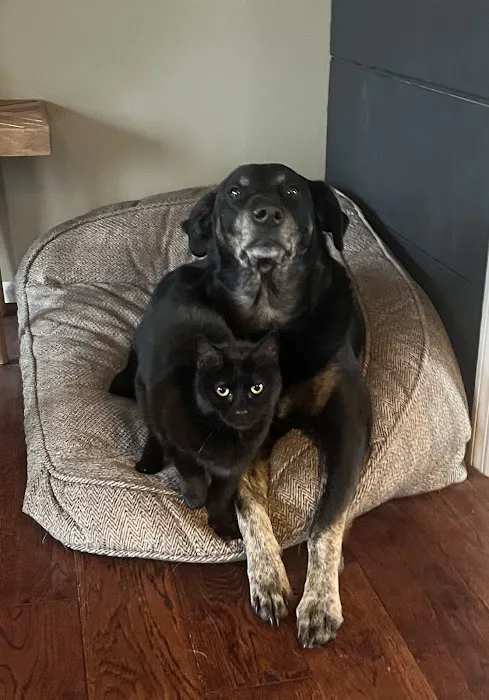 First State Urgent Vet - Newark 12