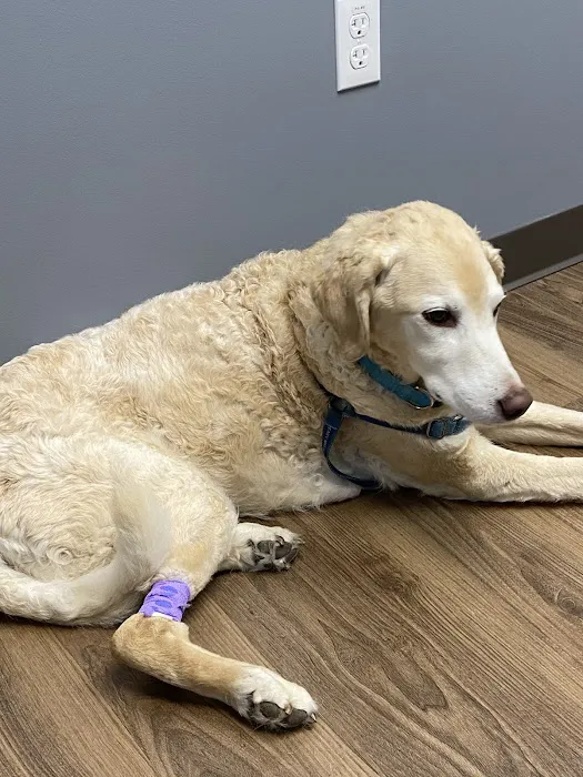 First State Urgent Vet - Newark 12