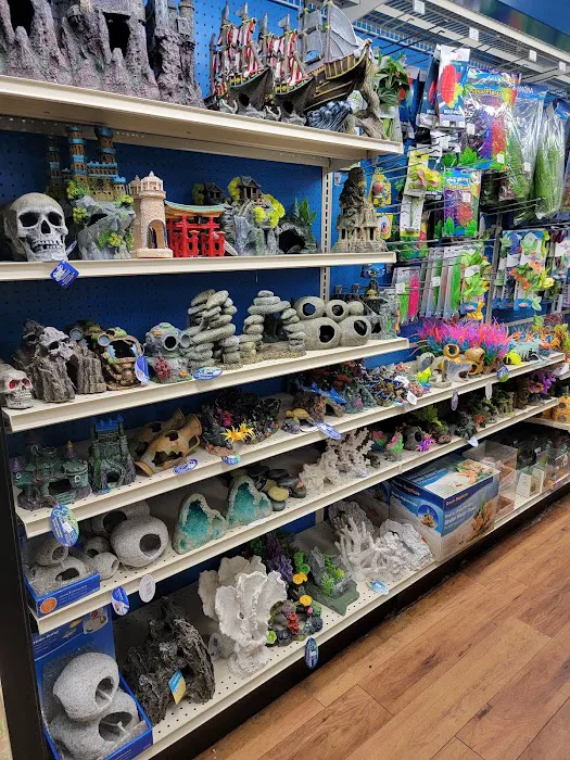 Pet Supermarket 12