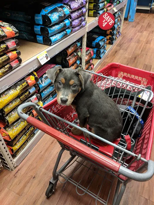 Pet Supermarket 12