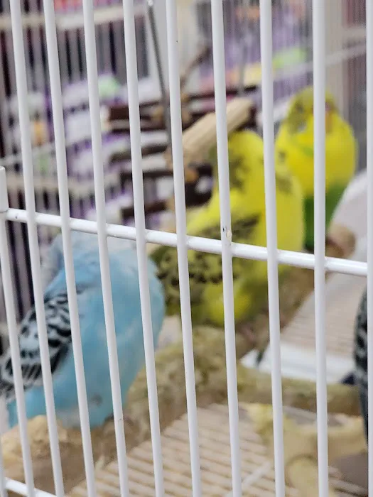 Pet Supermarket 12