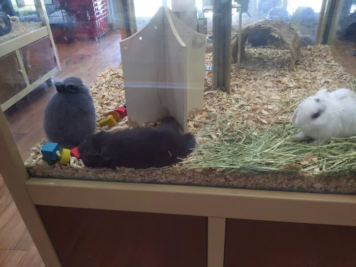 Pet Supermarket 12