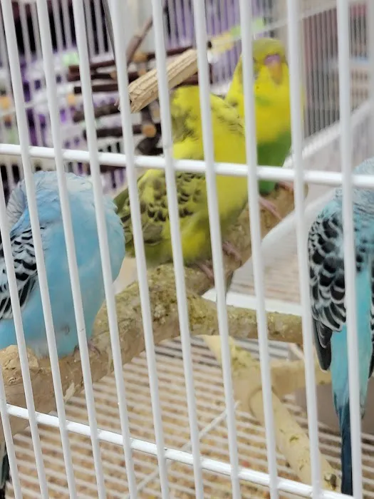 Pet Supermarket 12
