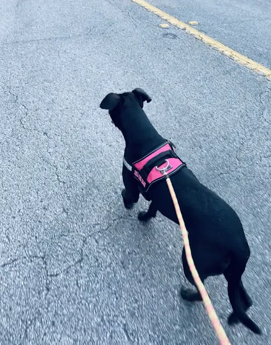 Dogline Inc 1
