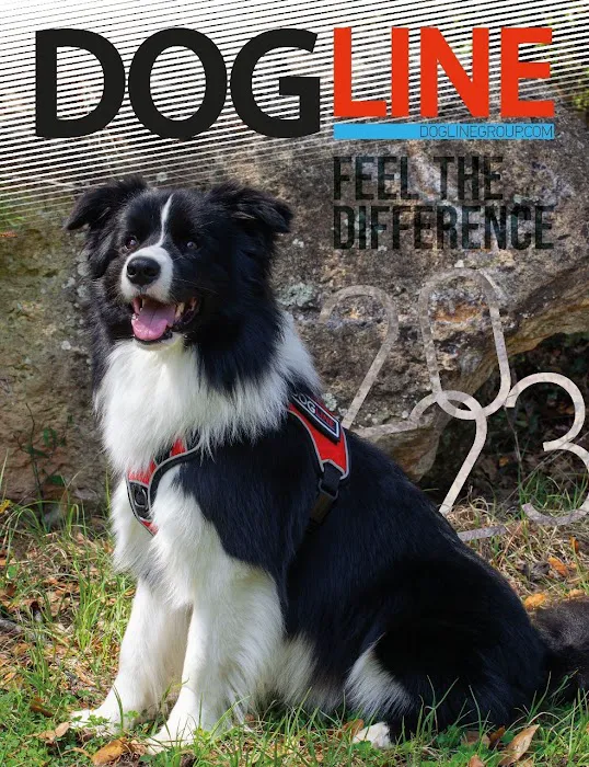 Dogline Inc 3
