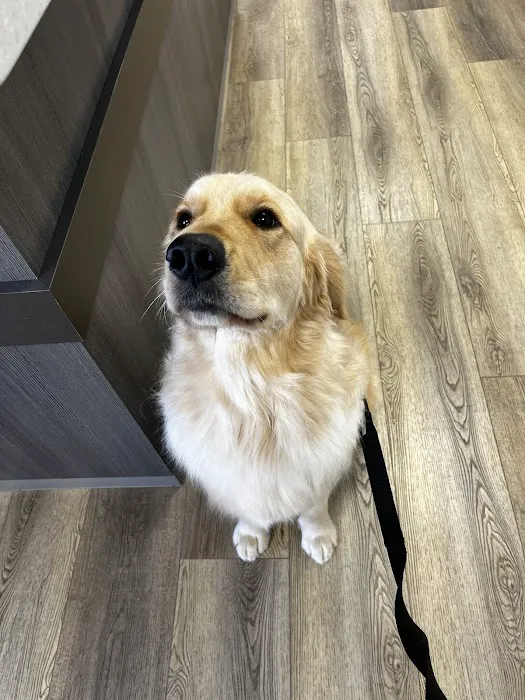Brandywine Valley Veterinary Hospital 3