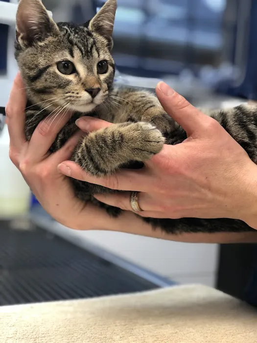 Brandywine Valley Veterinary Hospital 6